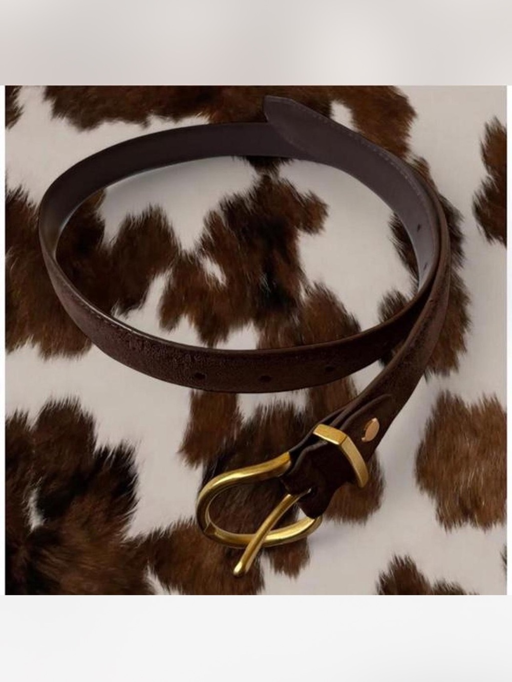 Princess Polly Dark Brown Leather Belt with Gold Buckle